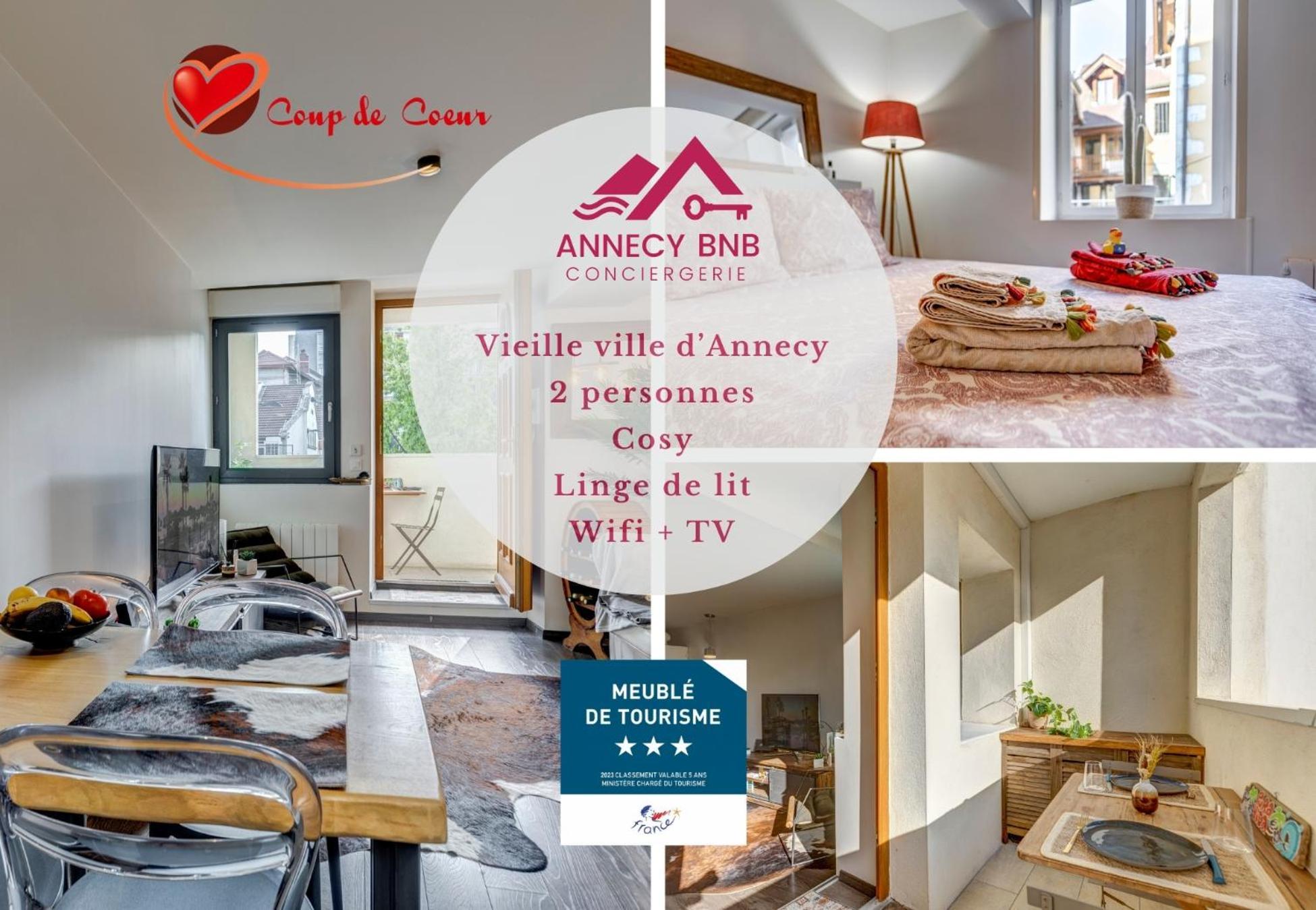 Le Pura Vida, Hyper Centre Terrasse + Parking Apartment Annecy Exterior photo